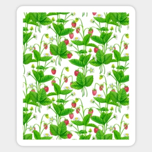 Strawberry garden Sticker